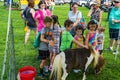 Children Petting Miniature Pony at the Petting Zoo at the Annual Touch-A-Truck Royalty Free Stock Photo